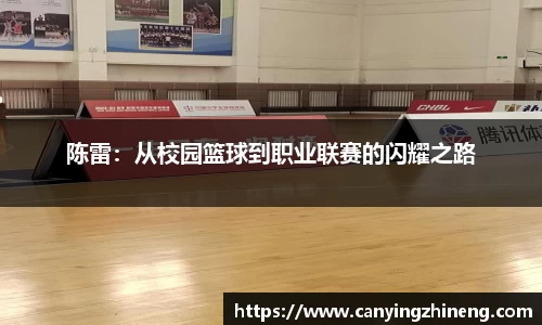 球速体育官方网站
